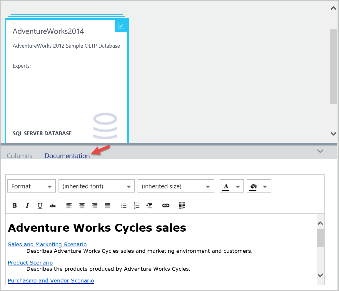 Viene selezionato un asset di dati, con la scheda della documentazione visualizzata come selezionata nella finestra sottostante.