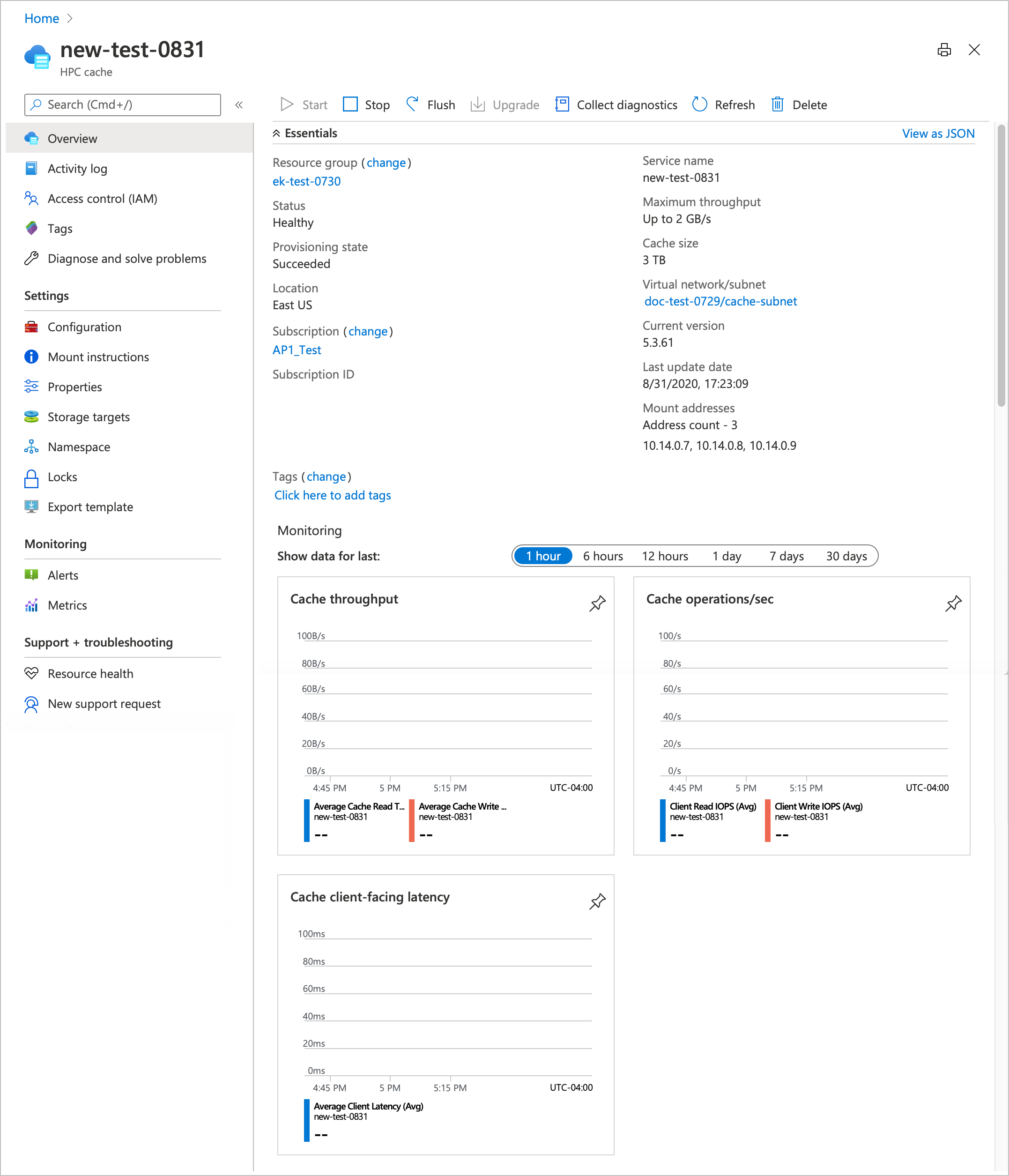 screenshot della pagina Panoramica di un'istanza di Cache HPC di Azure