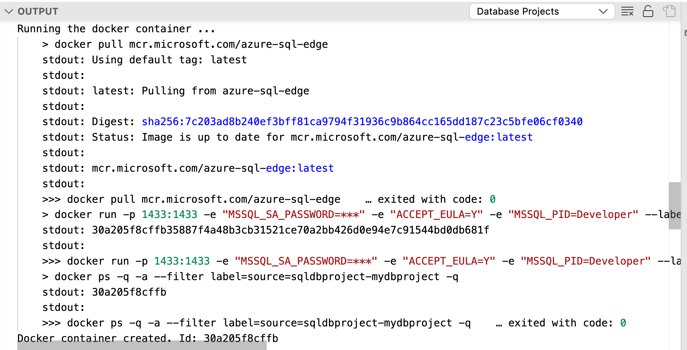 Screenshot della gestione dell'emulatore database SQL di Azure tramite C L I.