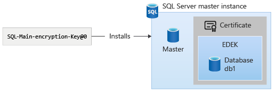 La chiave di crittografia principale di SQL Server viene installata nel database master dell'istanza master di SQL Server
