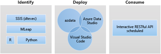 Identificare le origini (R, Python, SSIS (dtexec), distribuirle con la riga di comando, Azure Data Studio o Visual Studio Code, e consumarle con uno schema interattivo di API RESTful.