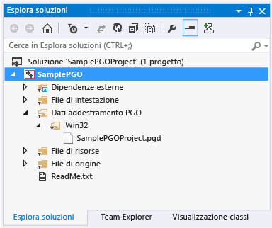 File di dati PGO in Esplora soluzioni