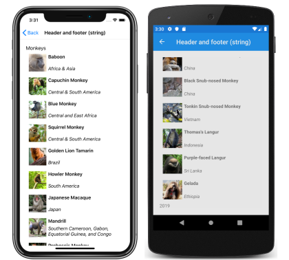 Intestazione e piè di pagina della stringa CollectionView Screenshot di un'intestazione e di un piè di pagina della stringa CollectionView in iOS e Android