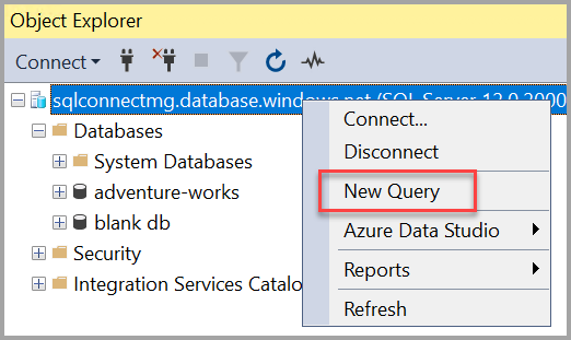 Screenshot che mostra il link Nuova query.