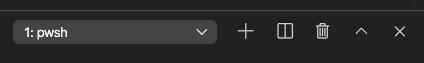 Screenshot della finestra del terminale di Visual Studio Code con il terminale 