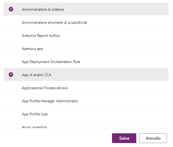 Screenshot dell'assegnazione del ruolo Amministratore di sistema.