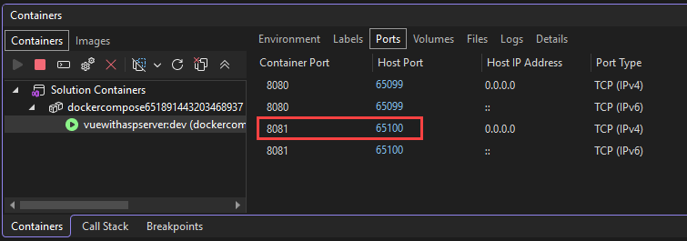 Screenshot che mostra le porte del contenitore Docker.