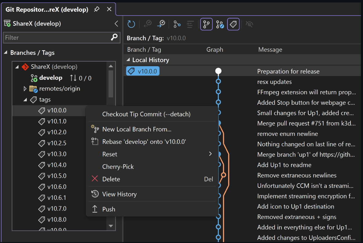 Screenshot che mostra i tag Git nella finestra Repository Git.