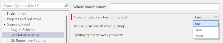 Screenshot che mostra l'opzione 'Potatura dei rami remoti durante il fetch' evidenziata con 'Vero' selezionata nell'elenco a discesa.