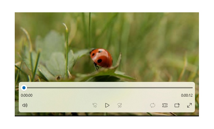 Uno screenshot di un elemento lettore multimediale con controlli di riproduzione che riproduce un video di una coccinella
