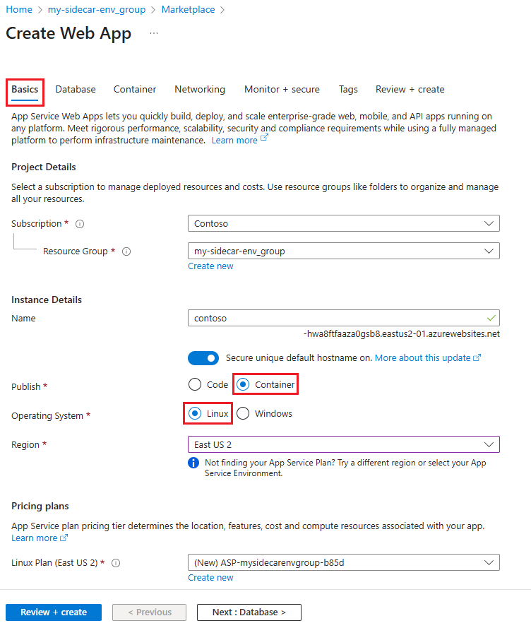 Linux カスタム コンテナー Web アプリの基本設定を示すスクリーンショット。