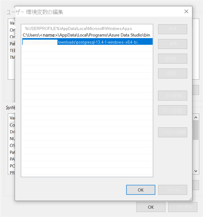 設定する必要がある環境変数を示すスクリーンショット。