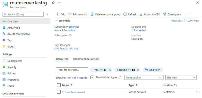 仮想ネットワークと関連リソースを含む Route Server デプロイ リソース グループを示すスクリーンショット。