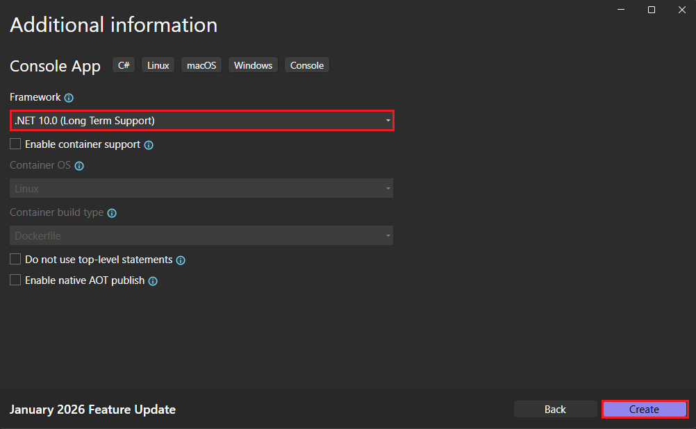 コンソール アプリの追加情報を入力します。