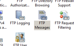 スクリーンショットは、F T P メッセージ機能が選択された [ホーム] ウィンドウを示しています。