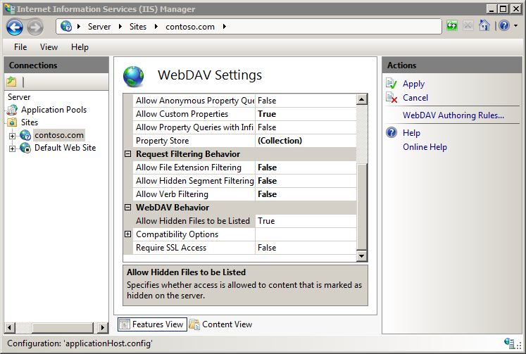 [隠しファイルの一覧表示を許可する] オプションが True に設定されている [Web DAV 設定] ウィンドウのスクリーンショット。[操作] ウィンドウに [適用] オプションが表示されます。