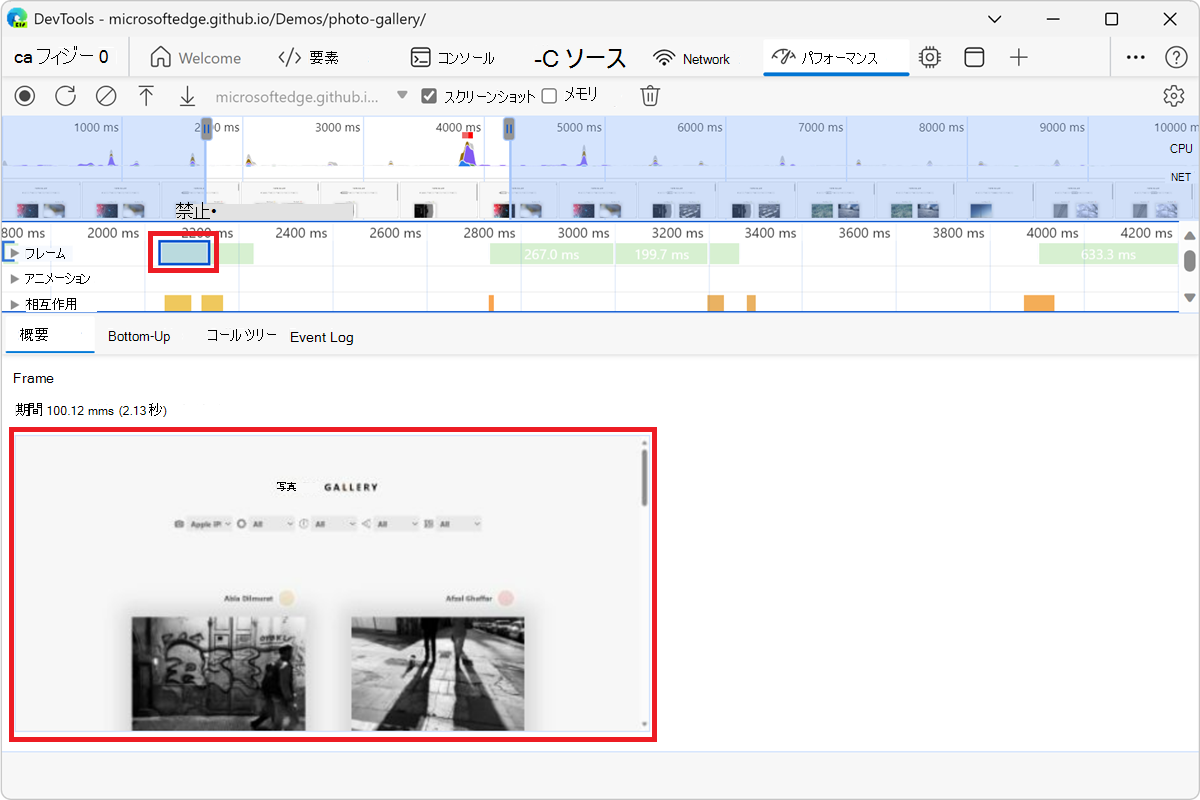 [概要] タブでのスクリーンショットの表示