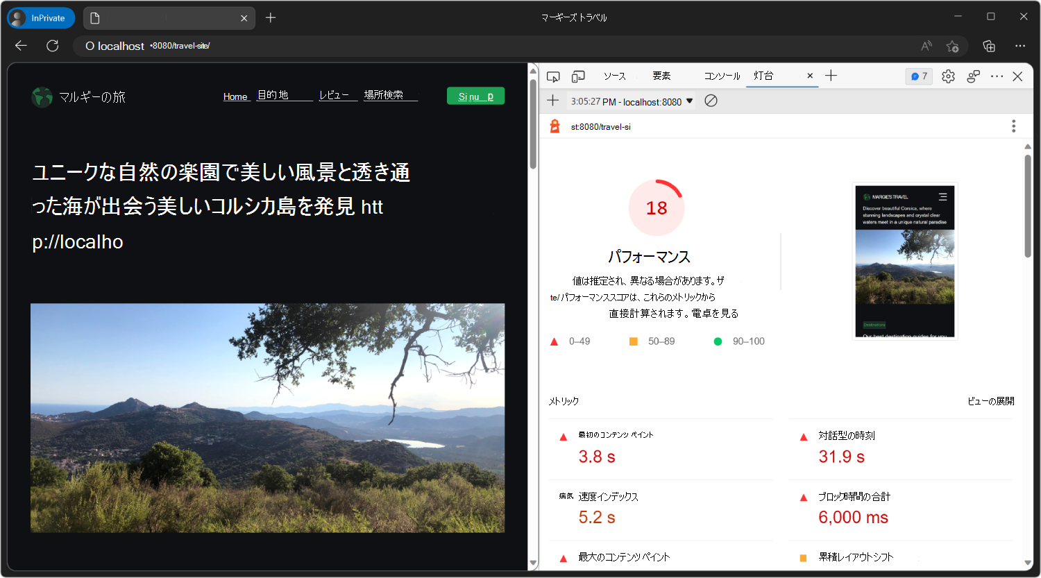 InPrivate ウィンドウでのサイトのパフォーマンスに関する Lighthouse ツールのレポート
