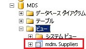 SQL Server Management Studio - mdm.Suppliers ビュー