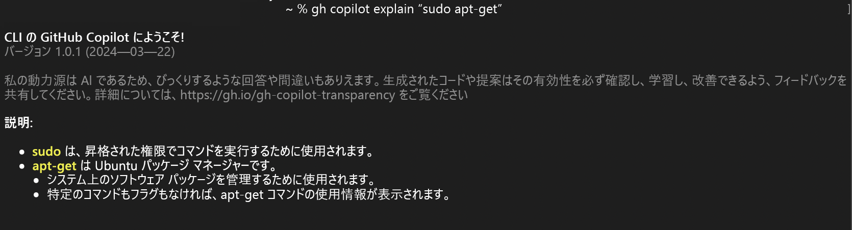 対話型モードのコマンドを説明する Copilot CLI のスクリーンショット。