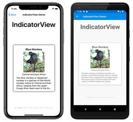 IndicatorView の例 IndicatorView の例