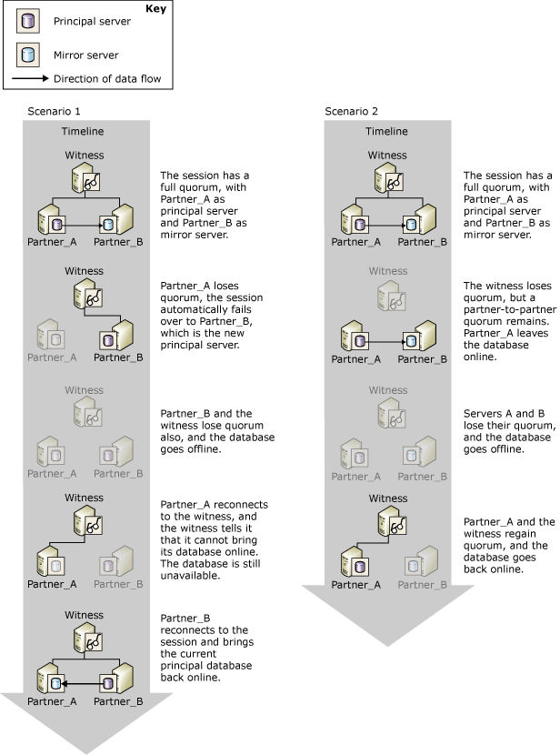 How the witness and partners cooperate How the witness and partners cooperate