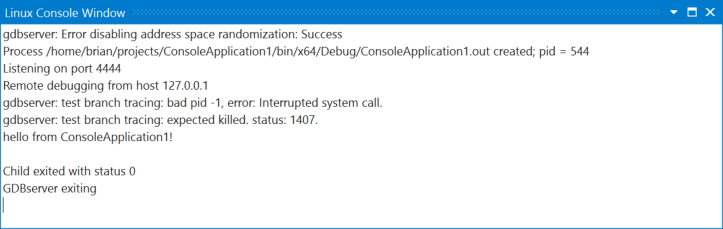 Schermopname van het Venster Linux-console.