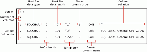Diagram met een detail van het standaardbestand met niet-XML-indeling voor mytestskipcol.