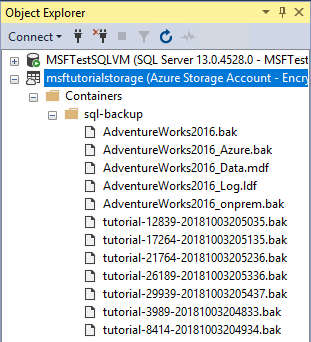 Schermopname van Objectverkenner in SSMS met meerdere momentopnamen in Azure Container.