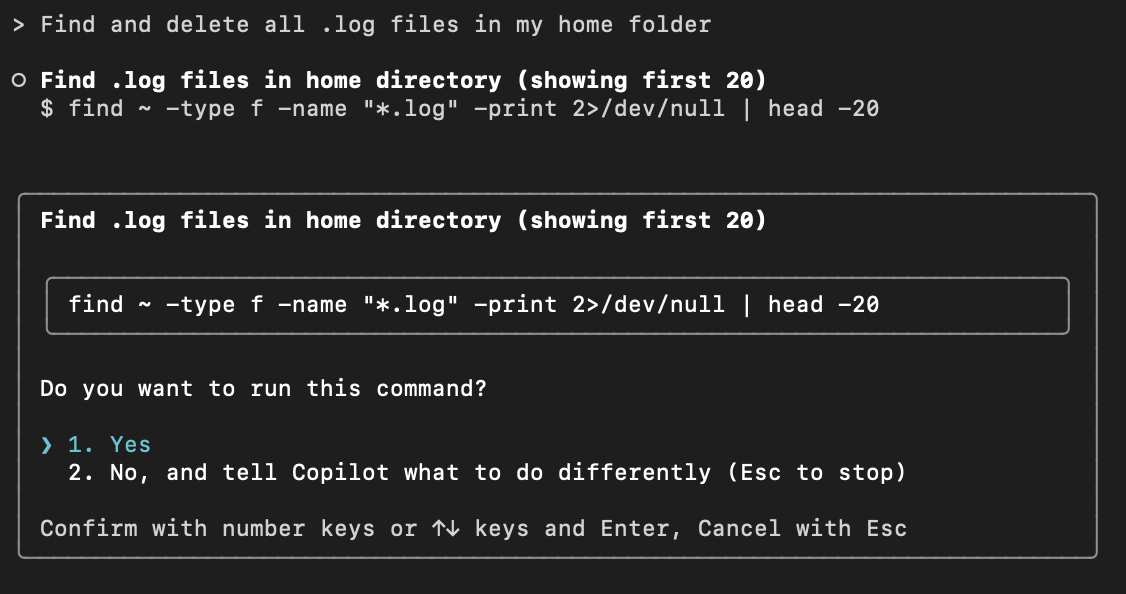 Schermopname van Copilot CLI die een opdracht voorstelt in de interactieve modus.