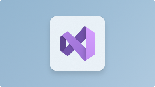 Visual Studio pictogram