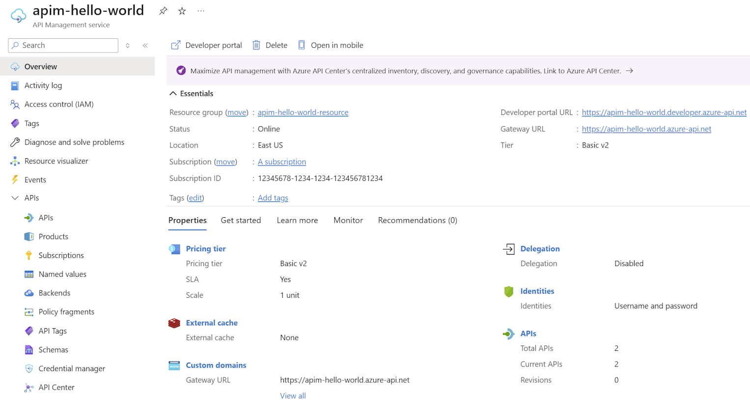 Captura de tela mostrando a seção de visão geral da instância de Gerenciamento de API.