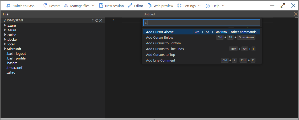 Captura de tela da paleta de comandos.