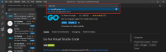 Uma captura de tela mostrando como executar a ferramenta Go: instalar/atualizar do palete de comando.