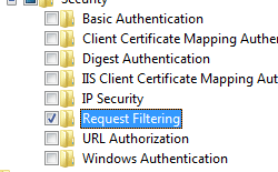 Screenshot of Security pane expanded in Select Role Services page and Request Filtering selected.