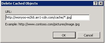 Captura de tela que mostra um URL com um padrão curinga na caixa de diálogo Excluir Objetos Armazenados em Cache.