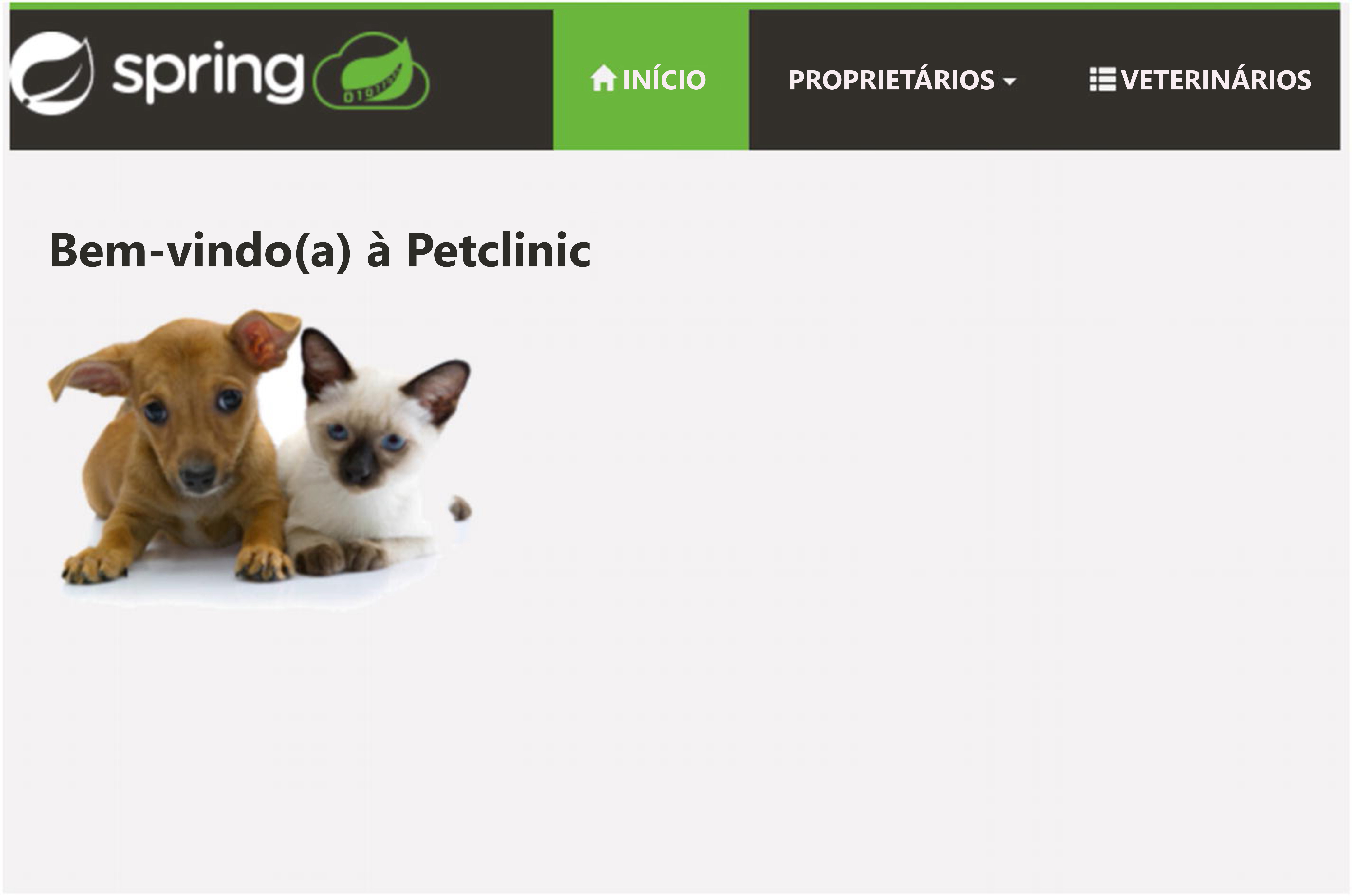 Captura de tela do aplicativo Spring.