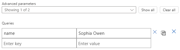 Captura de ecrã que mostra o painel de informação da função com o parâmetro Queries e exemplos de entradas-chave-valor.