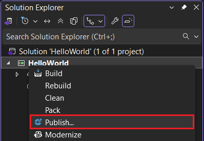 Visual Studio menu de contexto Publicar.