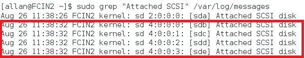 Captura de tela do comando grep e a resposta ao comando mostrando os discos SCSI conectados.