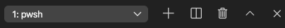 Captura de tela da janela do terminal do Visual Studio Code com o terminal 'pwsh' selecionado.