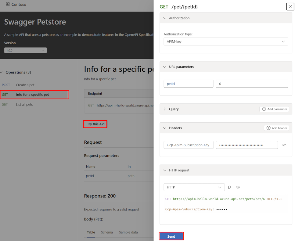 Skärmbild av testning av ett API i API Center-portalens testkonsol.