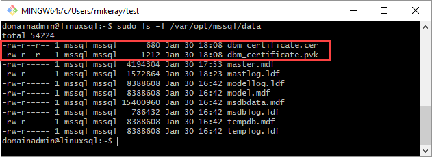 Skärmbild av ett Git Bash-fönster som visar .cer och .pvk i mappen /var/opt/mssql/data.