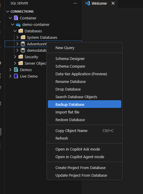 Skärmbild av alternativet Säkerhetskopieringsdatabas på snabbmenyn i Object Explorer.