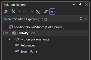 Skärmbild som visar det nyligen skapade tomma Python-webbprojektet i Prieskumník riešení.