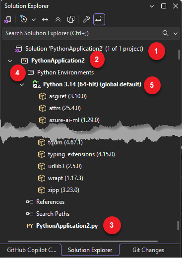 Skärmbild som visar Solution Explorer.